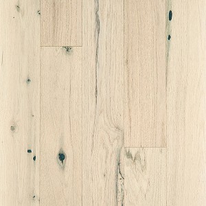 Sanctuary Oak